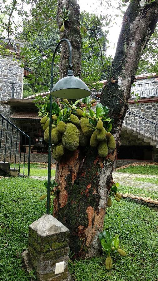 Wildernest Bed & Breakfast Thekkady Eksteriør bilde