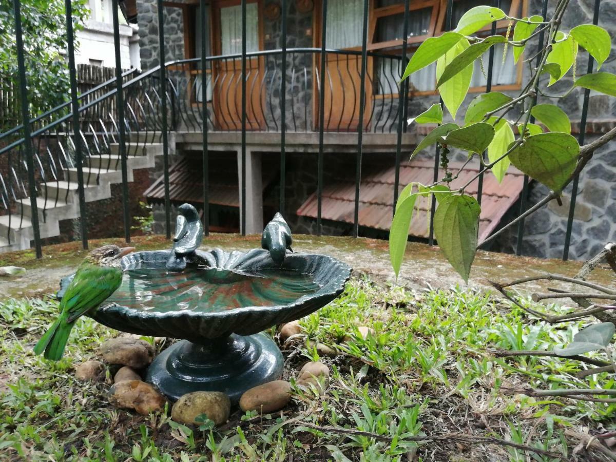 Wildernest Bed & Breakfast Thekkady Eksteriør bilde