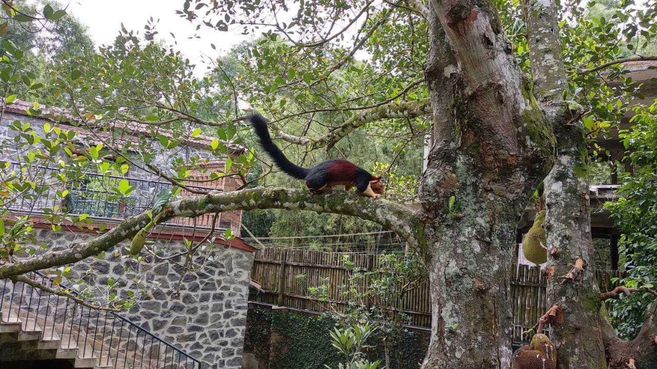 Wildernest Bed & Breakfast Thekkady Eksteriør bilde